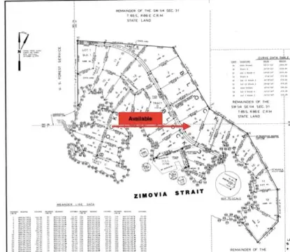 Remote Wrangell Island Land Parcel