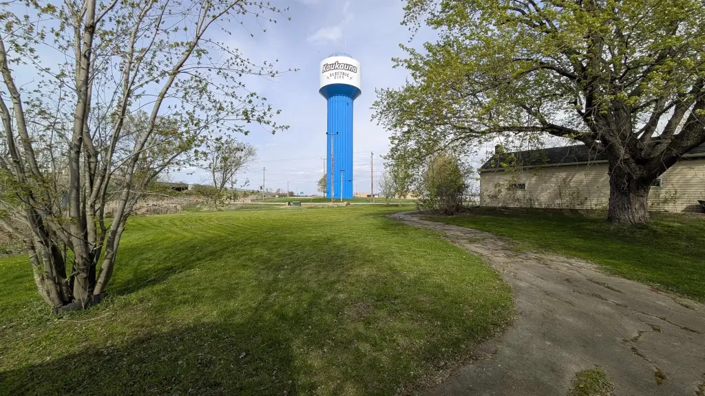 Picture 14