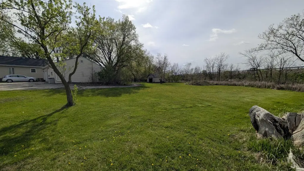 Picture 19