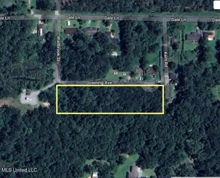 Wooded Lot in Moss Point