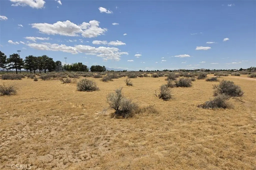 Picture 21