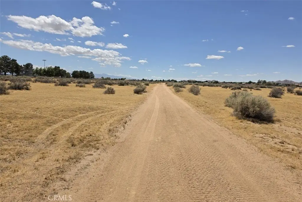 Picture 22