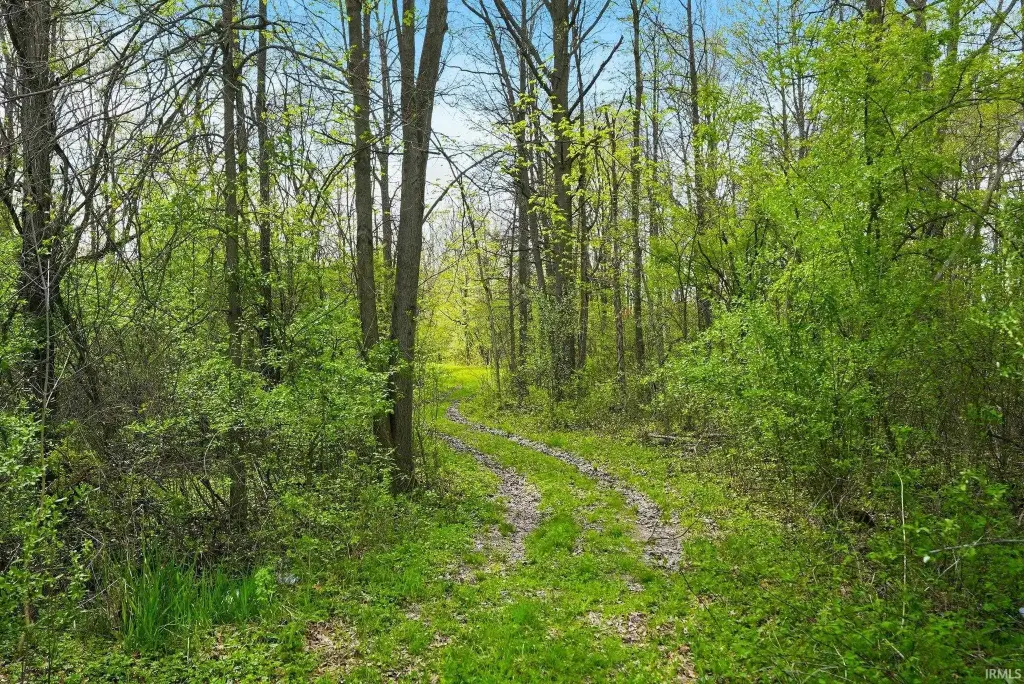 Picture 20