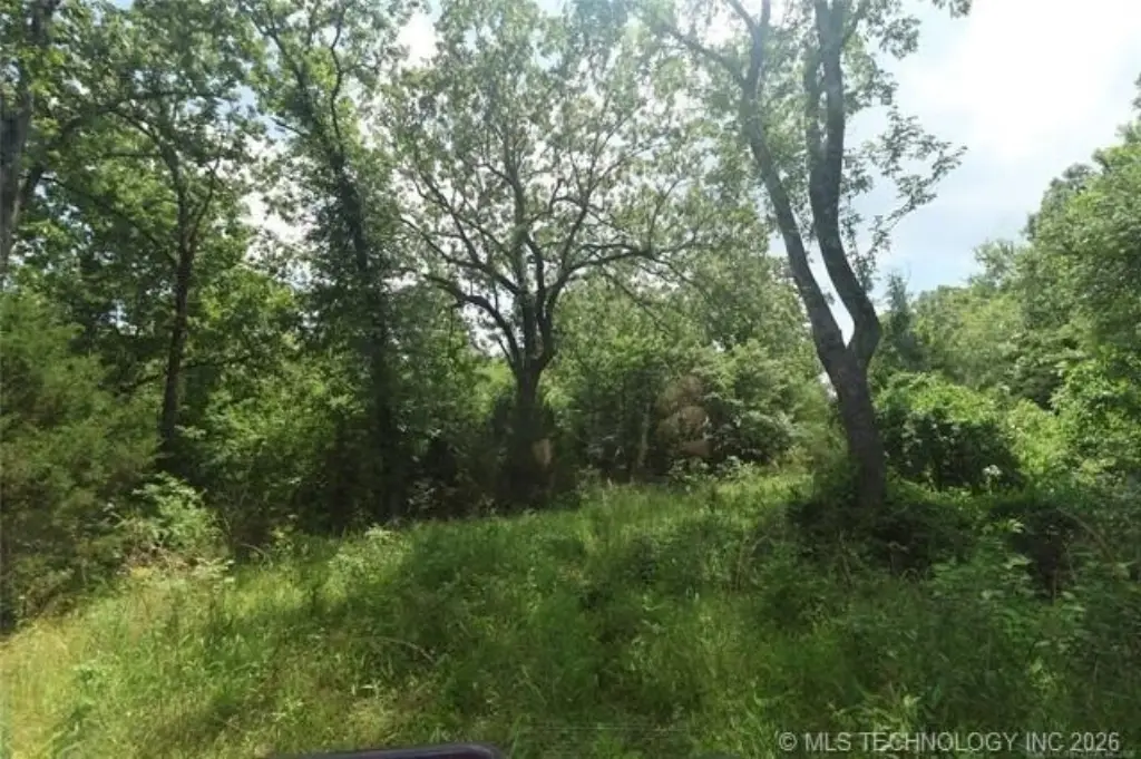 Picture 9
