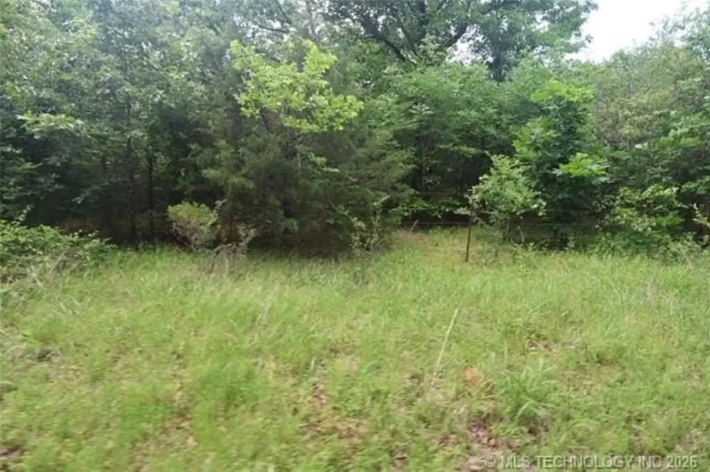 Picture 14