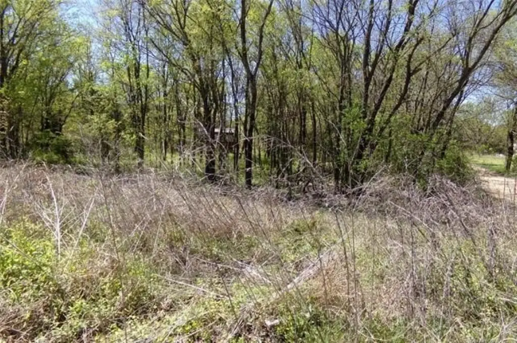 Picture 9