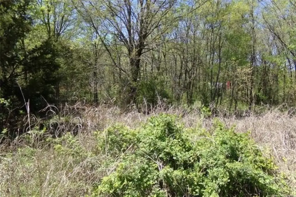 Picture 6