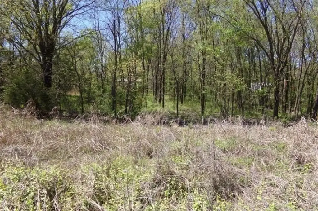 Picture 8