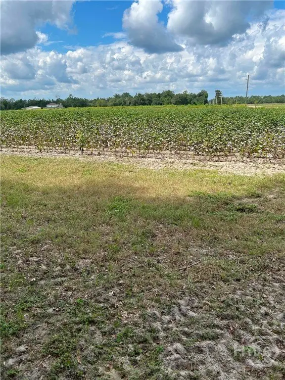 Picture 3