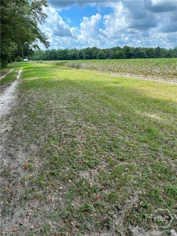 Picture 2