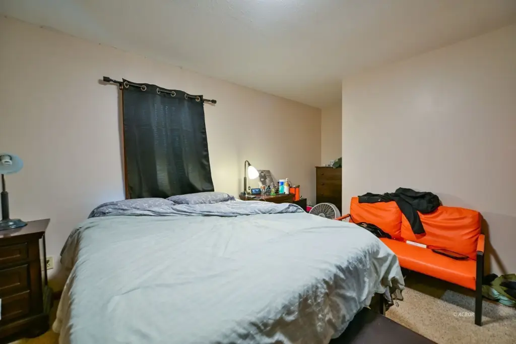 Picture 41