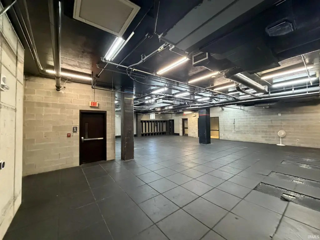 Picture 5