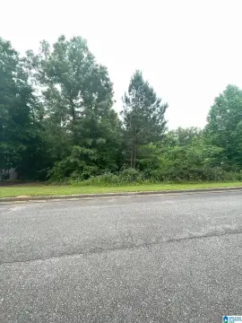 Residential Lot in Springville, AL