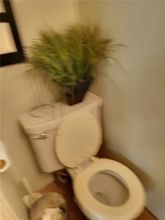 Picture 7