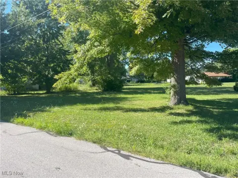 Painesville Twp Buildable Corner Lot