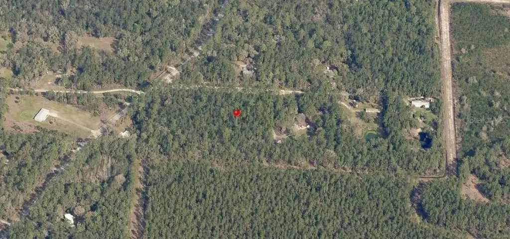 Picture 3