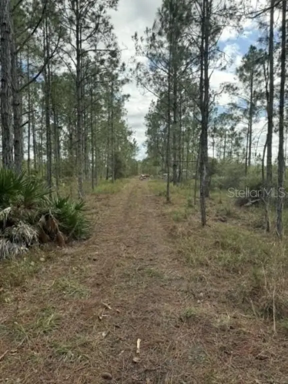 Picture 6