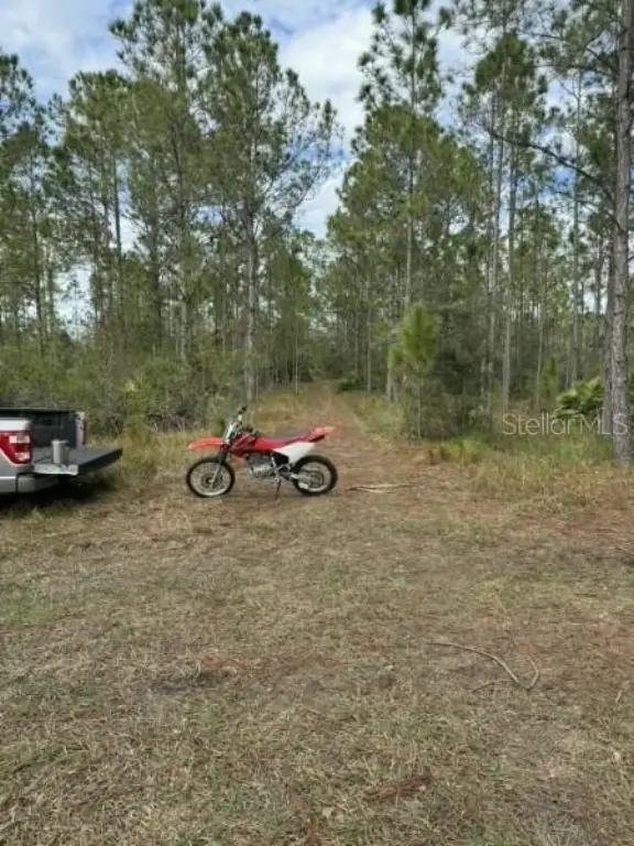 Picture 8