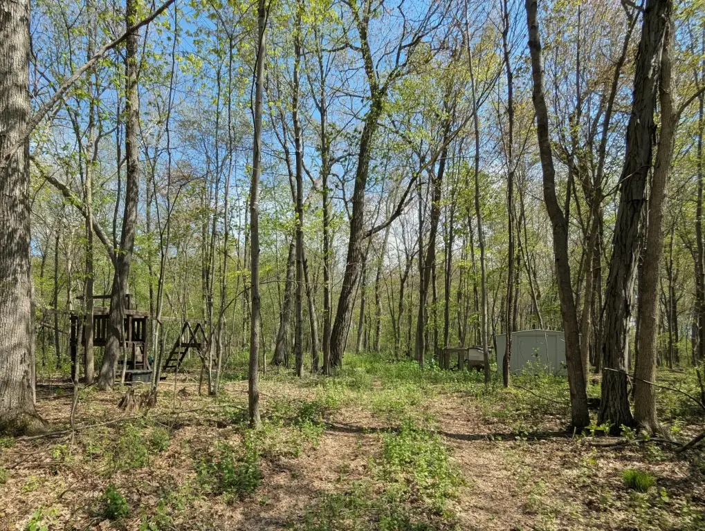Picture 4