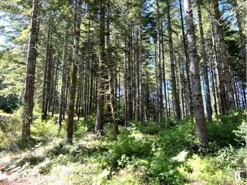 Picture 19