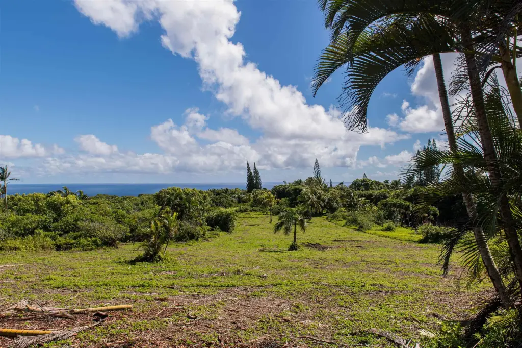 Picture 15