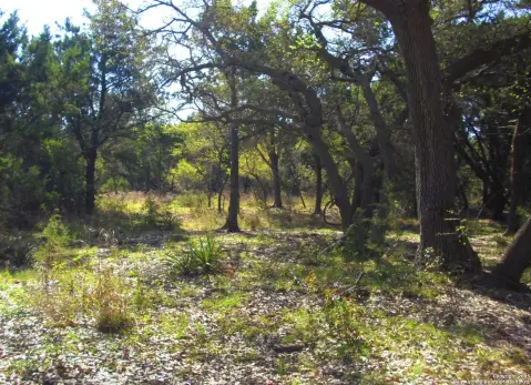 Canyon Lake Homesite Opportunity