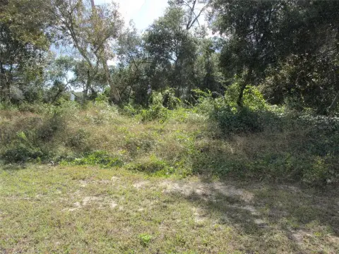 Deltona Land Near Aldi
