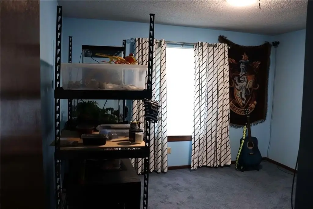 Picture 13