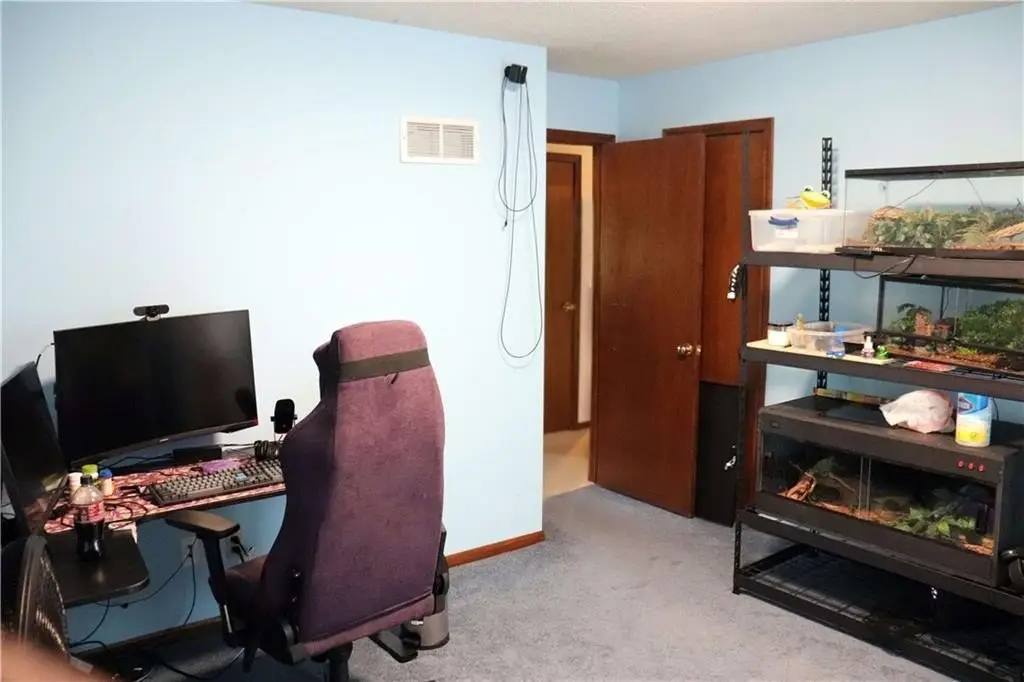 Picture 14