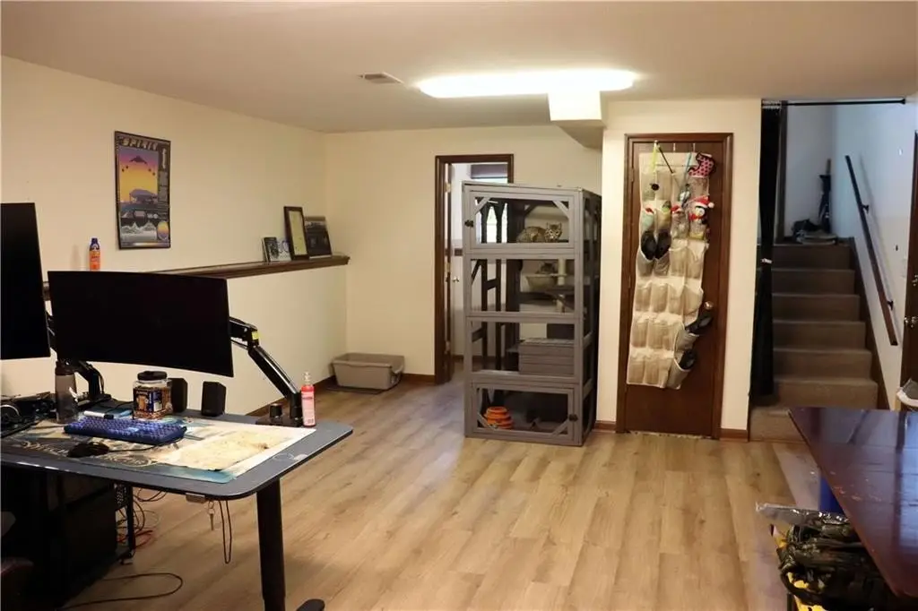 Picture 19