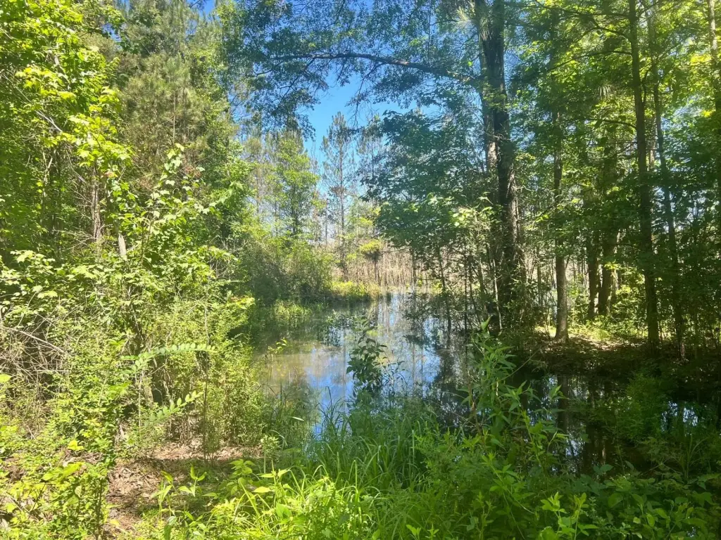 Picture 41