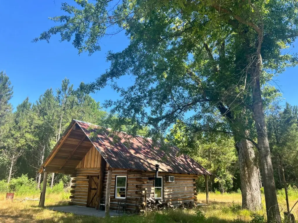 Picture 28