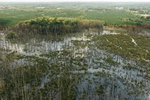 Secluded Land with Cabin Retreat