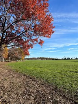 Picturesque Land with Creek Frontage