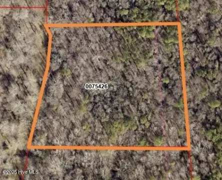 Pittsboro Wooded Lot Opportunity
