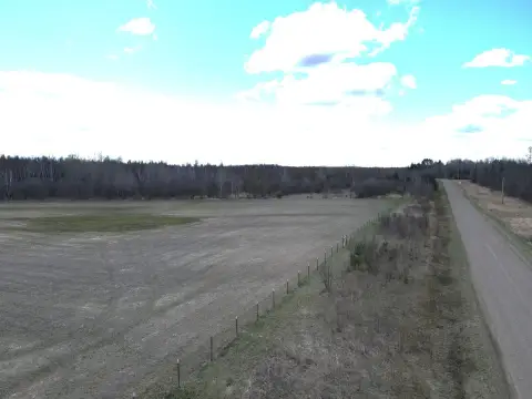 Wooded Hunting Land