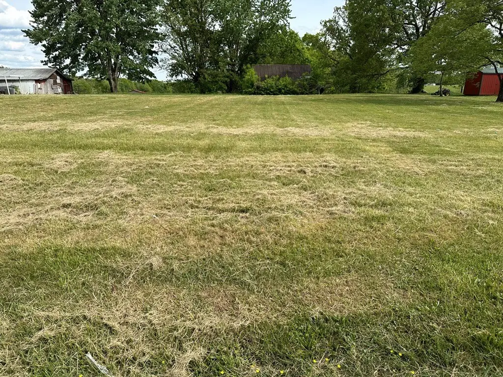 Picture 3