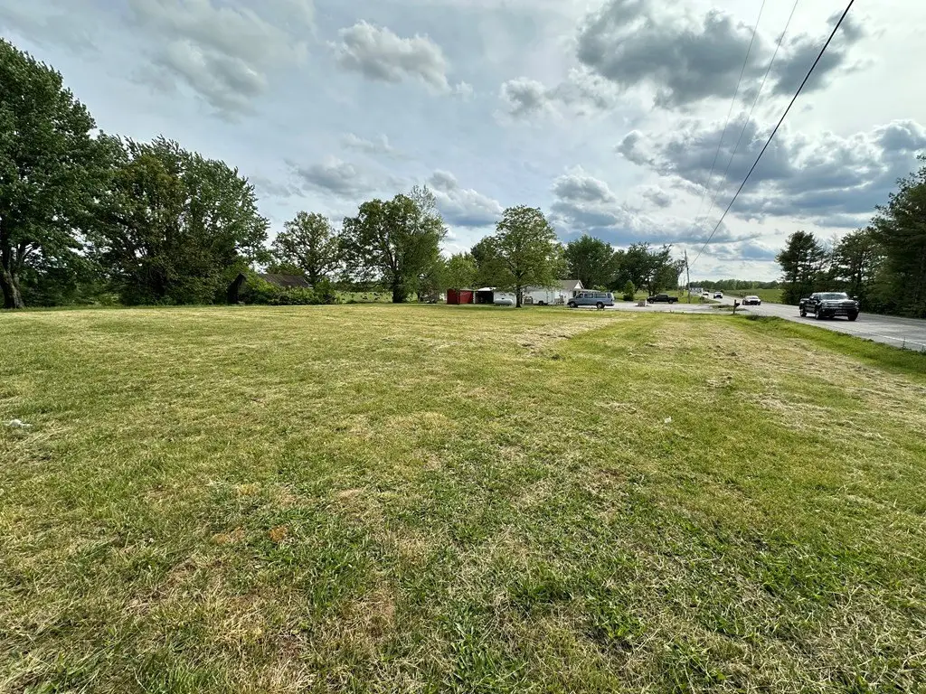 Picture 5