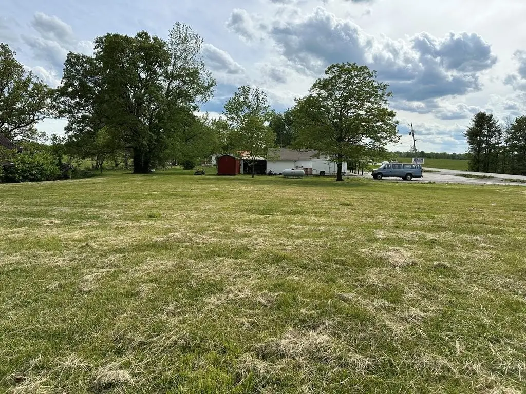 Picture 7