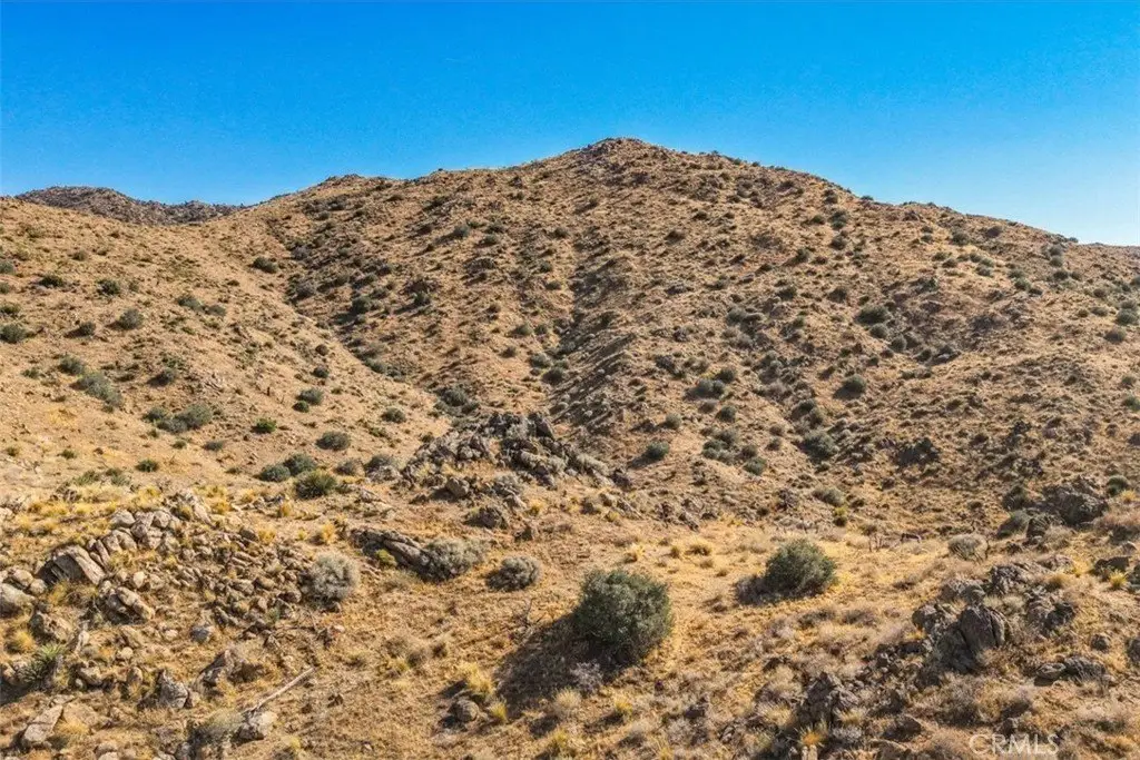 Picture 20