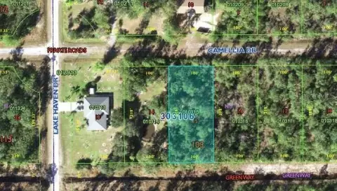 Buildable Lot in Indian Lake