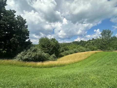 York Ridge Estates Buildable Land