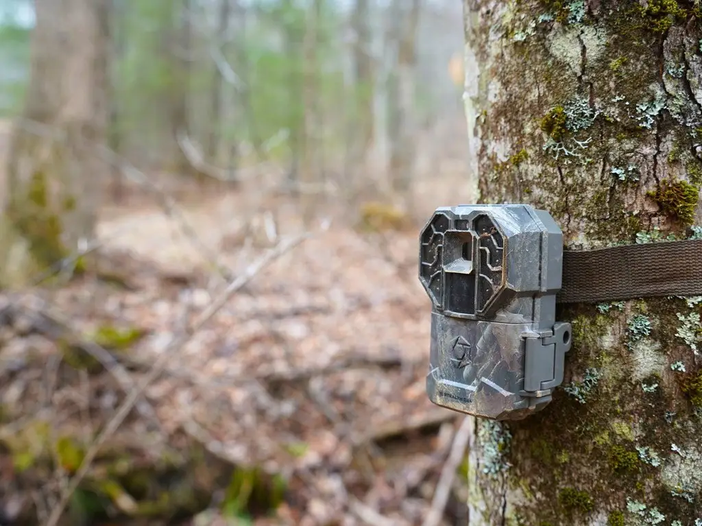 Picture 27