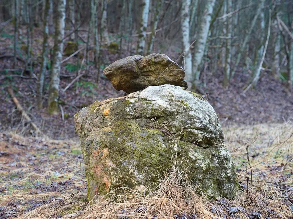 Picture 36