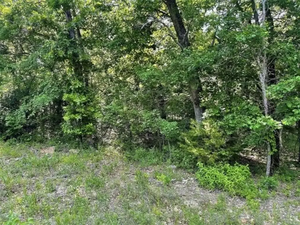 Picture 8