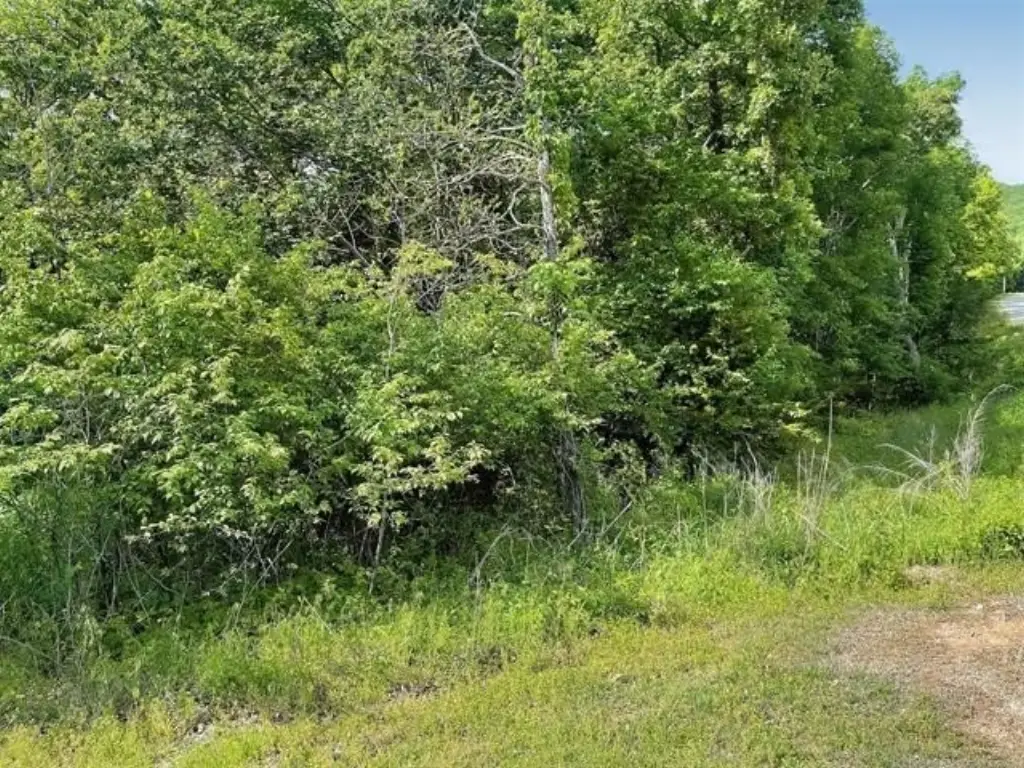 Picture 4