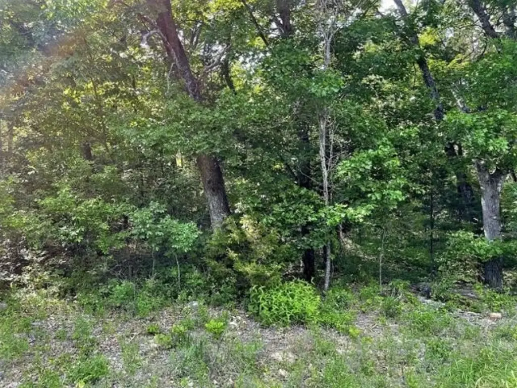 Picture 6