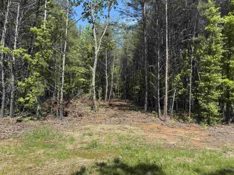 Greer Acreage with Mountain Views