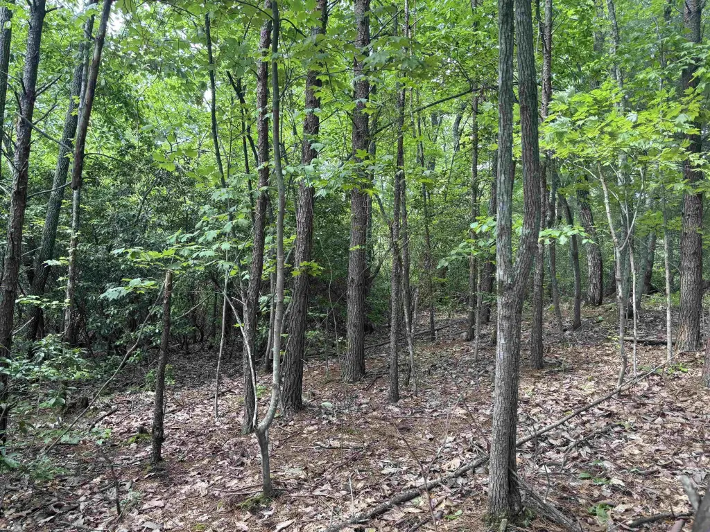 Picture 16