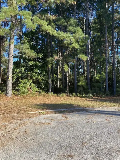 Commercial Lot Near Medical Facilities